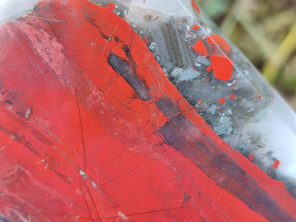 Polished Large Bloodstone Display Crystal x 1 From Swaziland