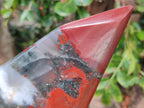 Polished Large Bloodstone Display Crystal x 1 From Swaziland