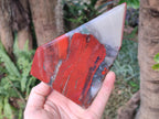 Polished Large Bloodstone Display Crystal x 1 From Swaziland