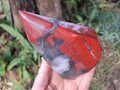 Polished Large Bloodstone Display Crystal x 1 From Swaziland