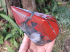 Polished Large Bloodstone Display Crystal x 1 From Swaziland