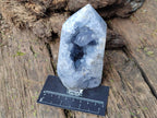 Polished and Natural Blue Celestite Display Crystals x 3 From Sakoany, Madagascar