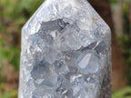 Polished and Natural Blue Celestite Display Crystals x 3 From Sakoany, Madagascar