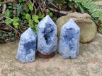 Polished and Natural Blue Celestite Display Crystals x 3 From Sakoany, Madagascar