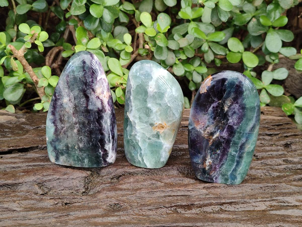 Polished Watermelon Fluorite Standing Display Pieces x 3 From Uis, Namibia