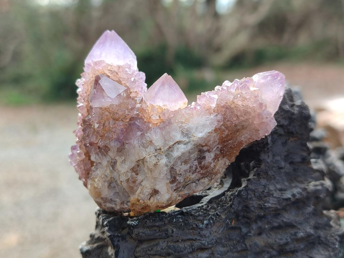 Natural Spirit Amethyst Clusters x 6 From Boekenhouthoek, South Africa