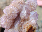 Natural Spirit Amethyst Clusters x 6 From Boekenhouthoek, South Africa