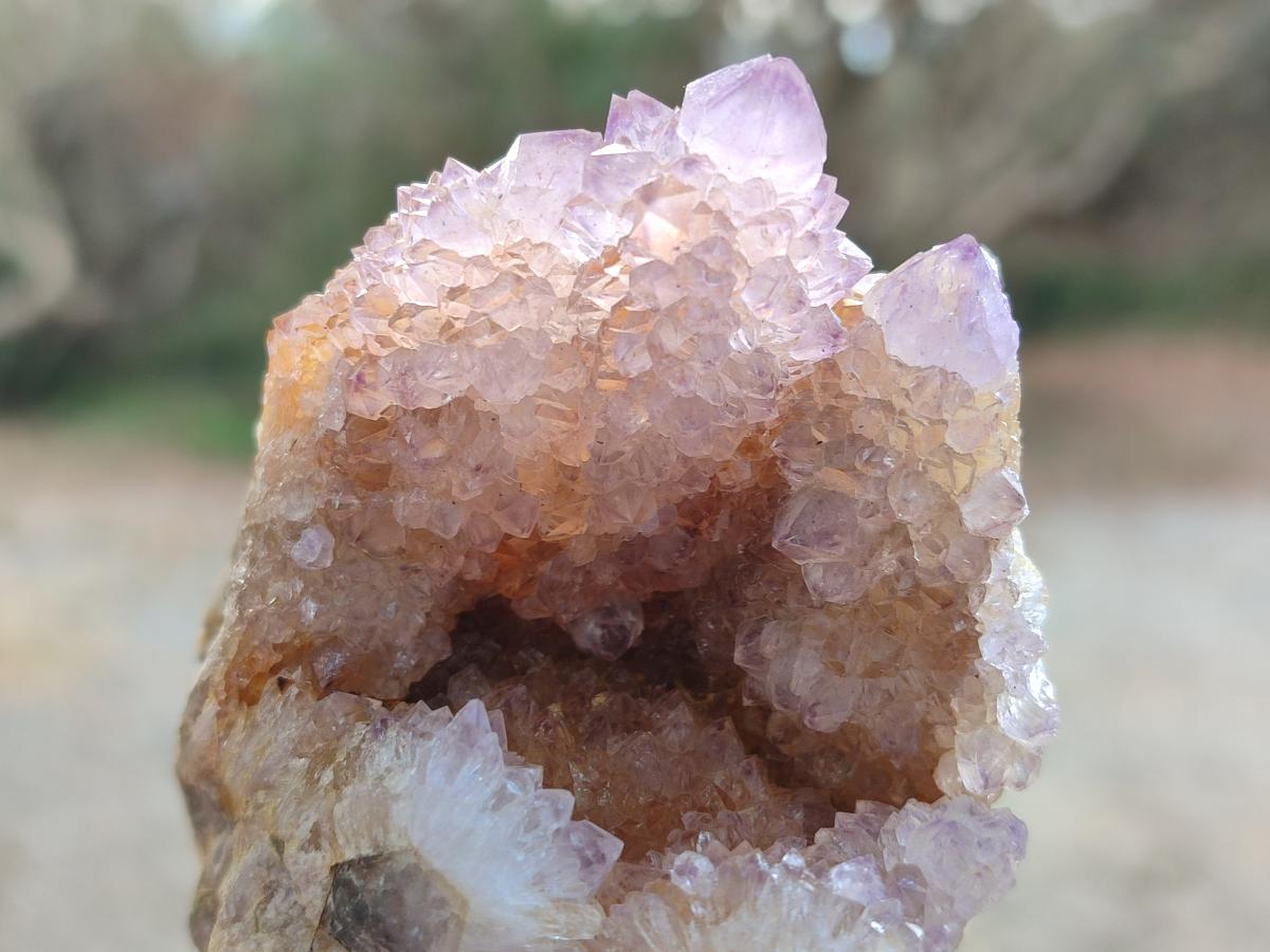Natural Spirit Amethyst Clusters x 6 From Boekenhouthoek, South Africa