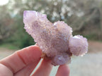 Natural Spirit Amethyst Clusters x 6 From Boekenhouthoek, South Africa