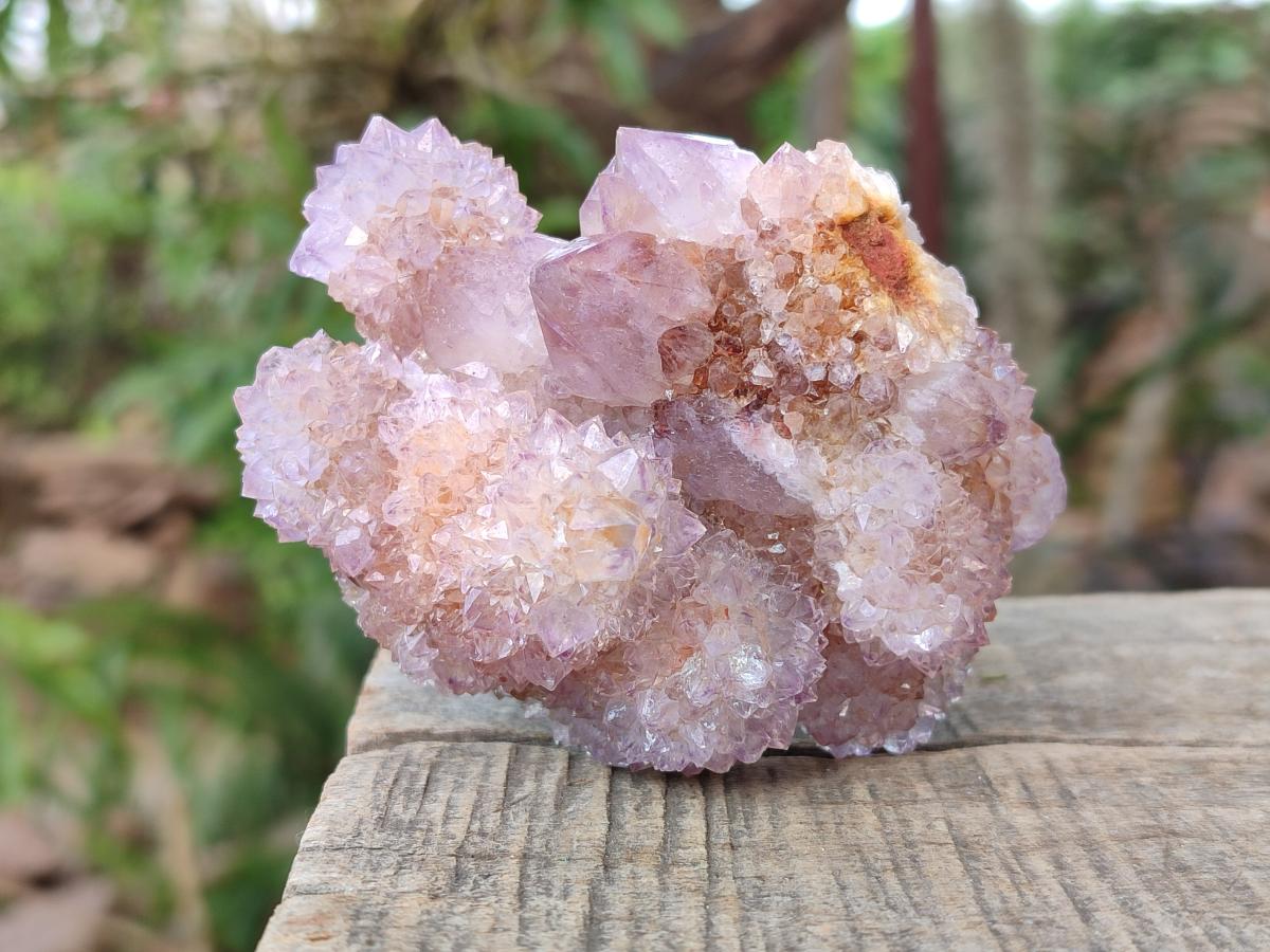 Natural Spirit Amethyst Clusters x 6 From Boekenhouthoek, South Africa