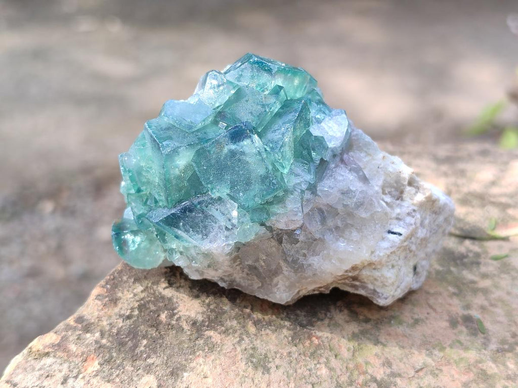 Natural Green Cubic Fluorite Specimens x 15 From Mandrosonoro, Madagascar