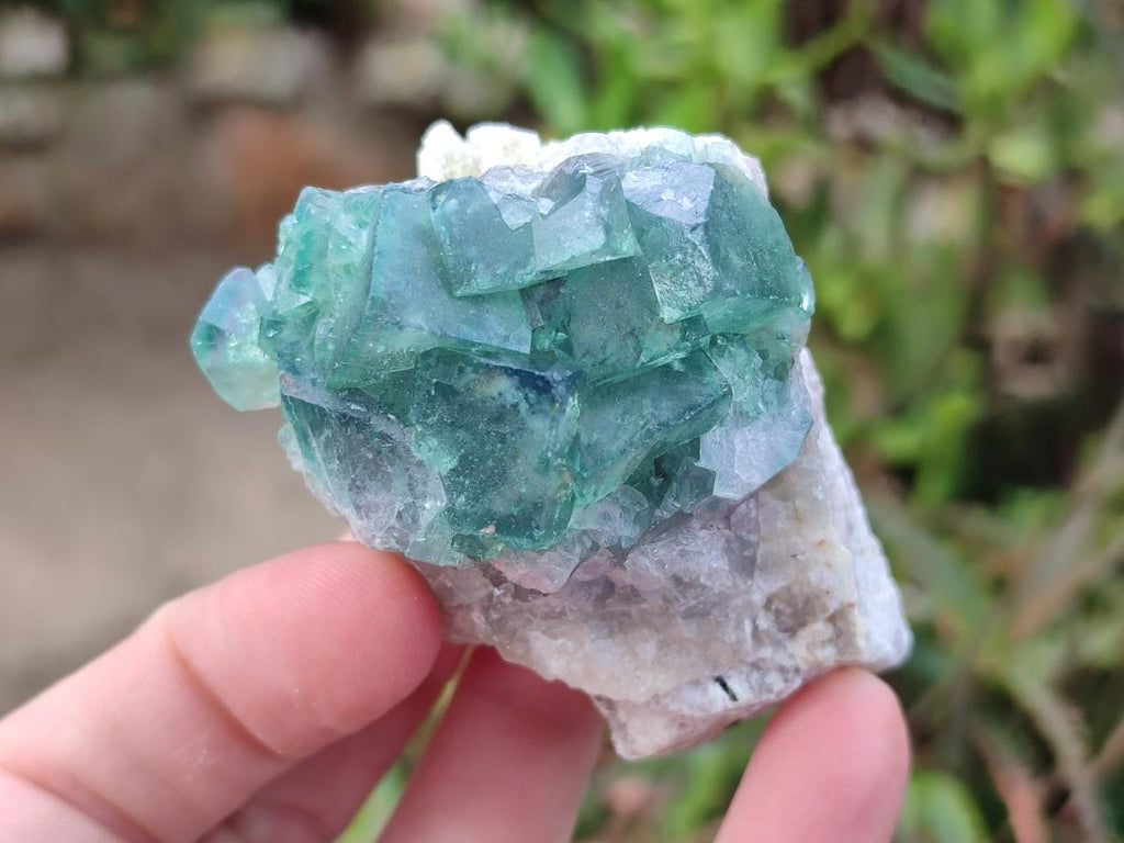 Natural Green Cubic Fluorite Specimens x 15 From Mandrosonoro, Madagascar