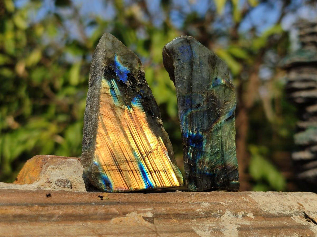 Polished One Side Labradorite Slices x 35 From Madagascar