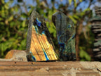 Polished One Side Labradorite Slices x 35 From Madagascar
