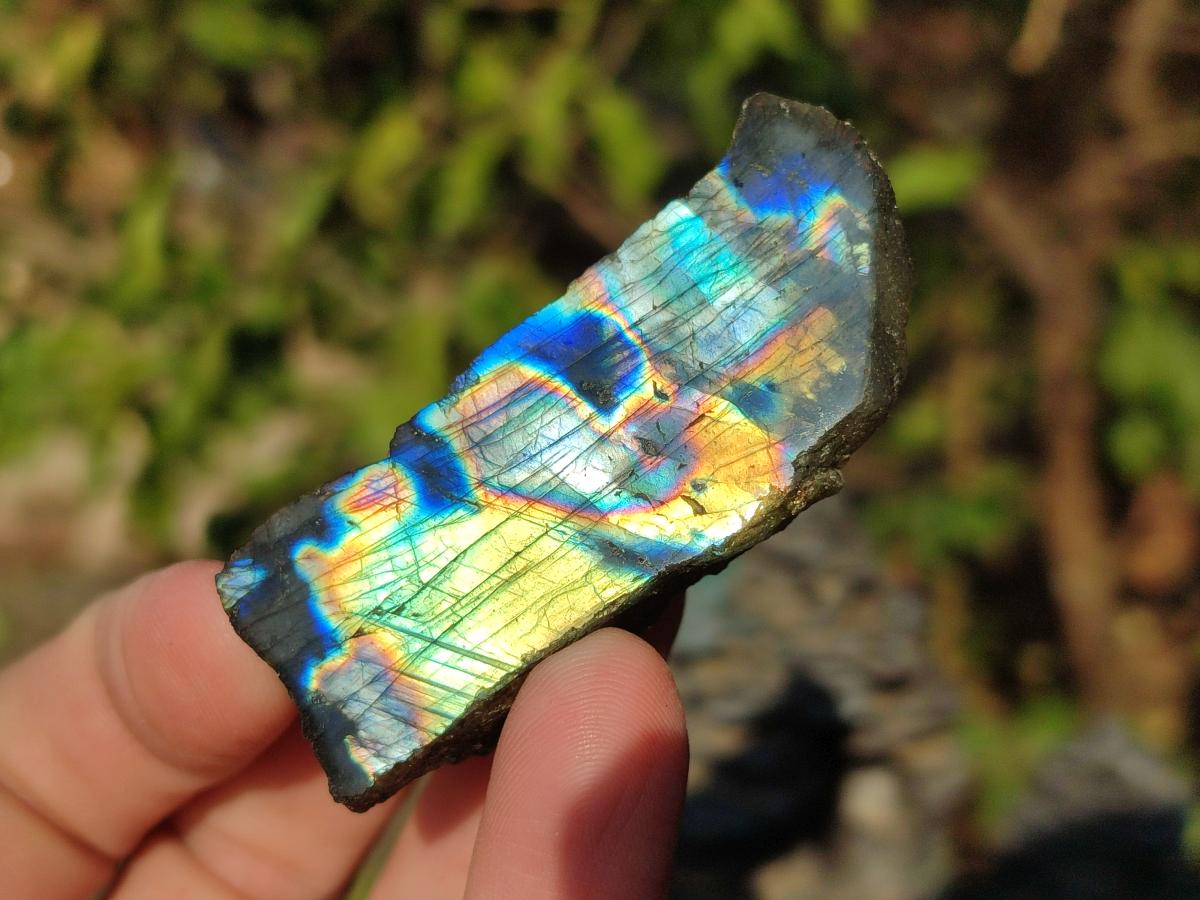 Polished One Side Labradorite Slices x 35 From Madagascar