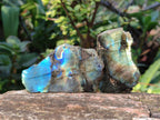 Polished One Side Labradorite Slices x 35 From Madagascar