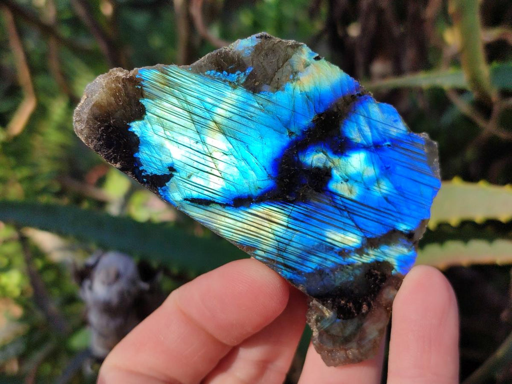Polished One Side Labradorite Slices x 35 From Madagascar