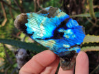 Polished One Side Labradorite Slices x 35 From Madagascar