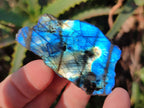 Polished One Side Labradorite Slices x 35 From Madagascar