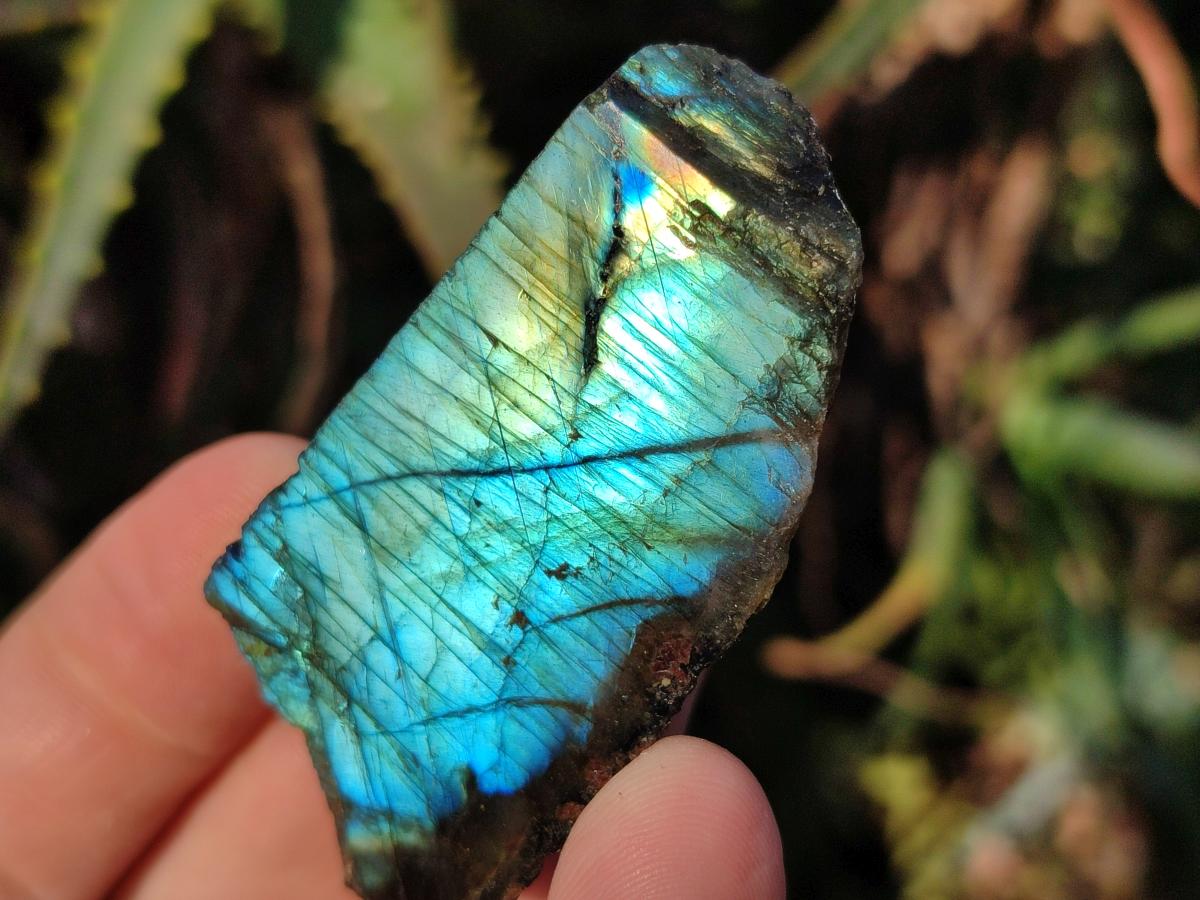 Polished One Side Labradorite Slices x 35 From Madagascar