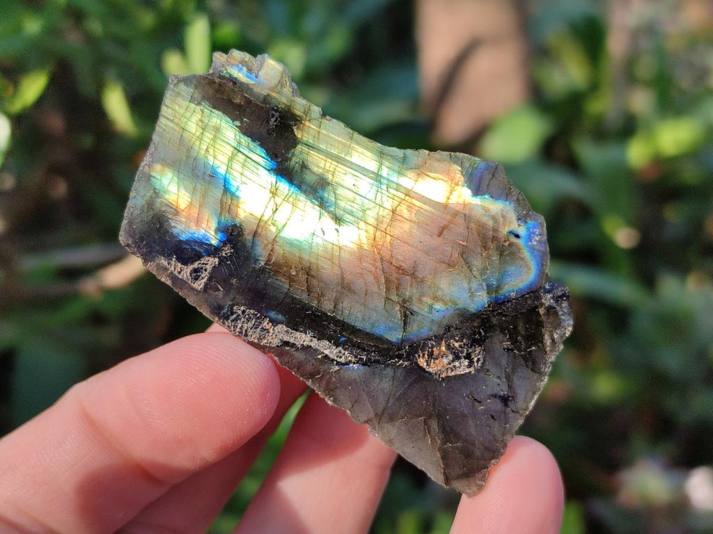 Polished One Side Labradorite Slices x 35 From Madagascar