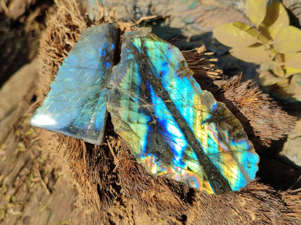 Polished One Side Labradorite Slices x 35 From Madagascar