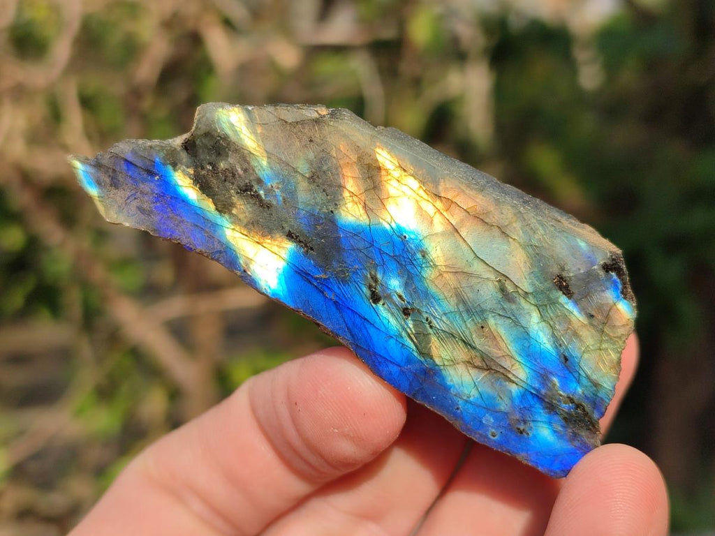 Polished One Side Labradorite Slices x 35 From Madagascar