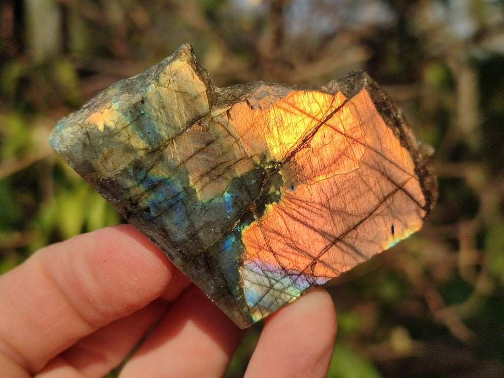 Polished One Side Labradorite Slices x 35 From Madagascar