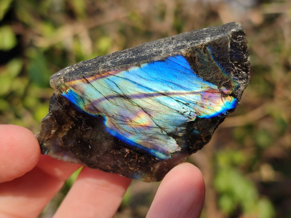 Polished One Side Labradorite Slices x 35 From Madagascar