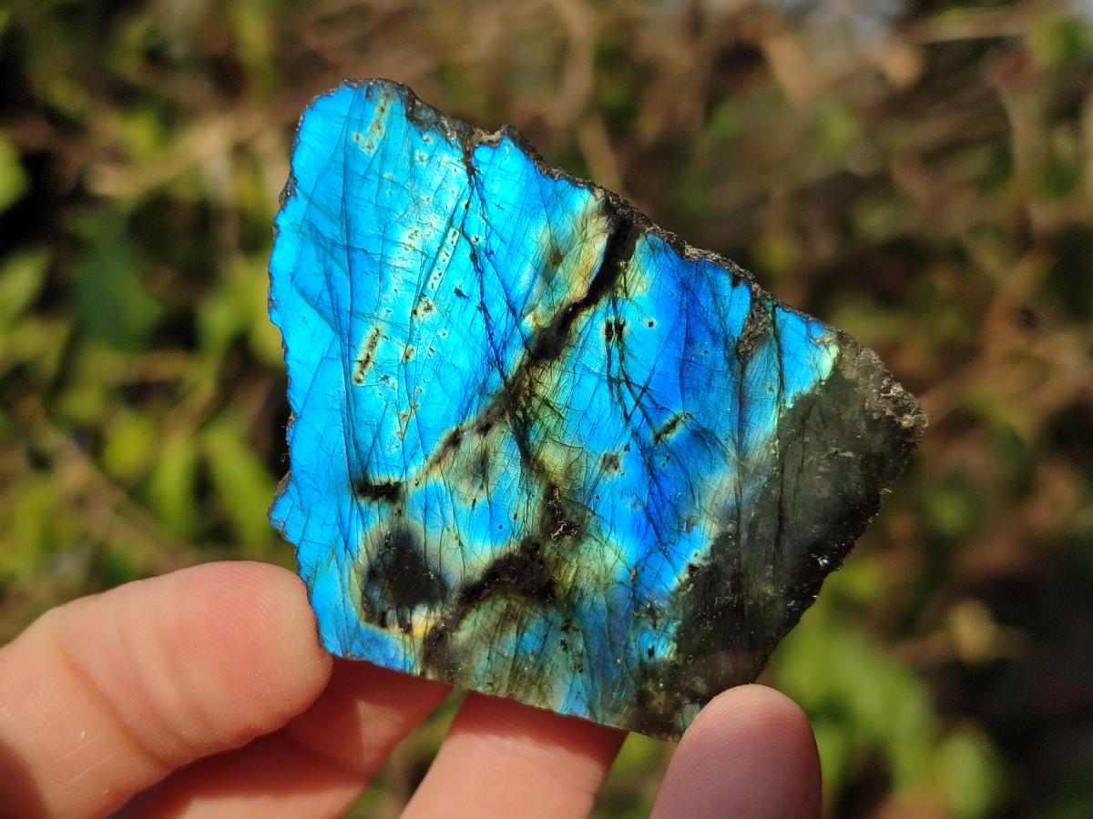 Polished One Side Labradorite Slices x 35 From Madagascar