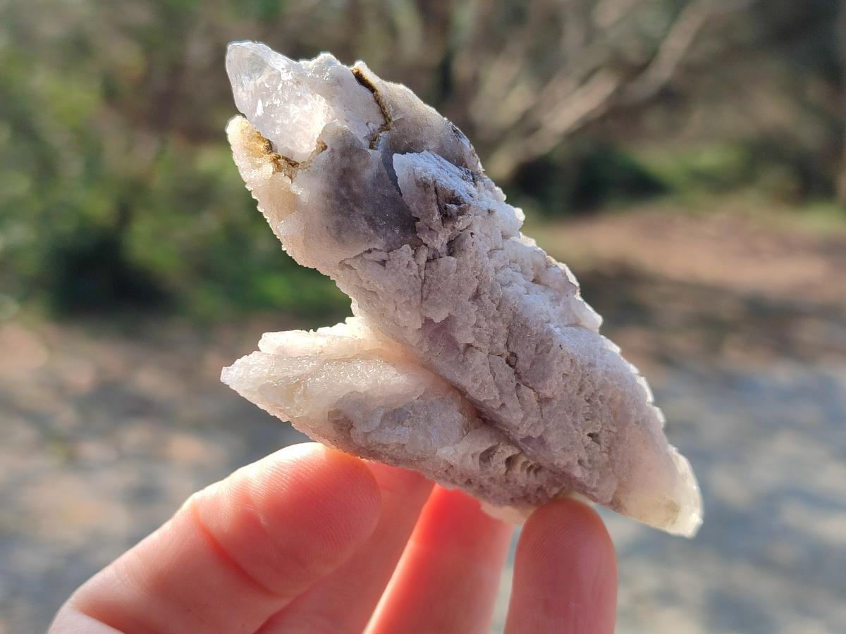 Natural Drusy Quartz Coated "Cock Spur" Calcite Crystals x 12 From Albert's Mountain, Lesotho