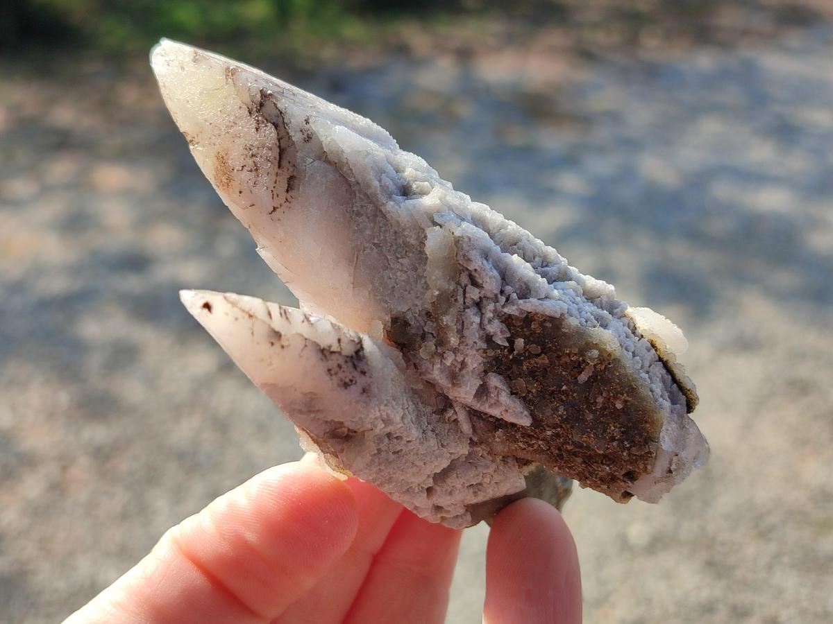 Natural Drusy Quartz Coated "Cock Spur" Calcite Crystals x 12 From Albert's Mountain, Lesotho