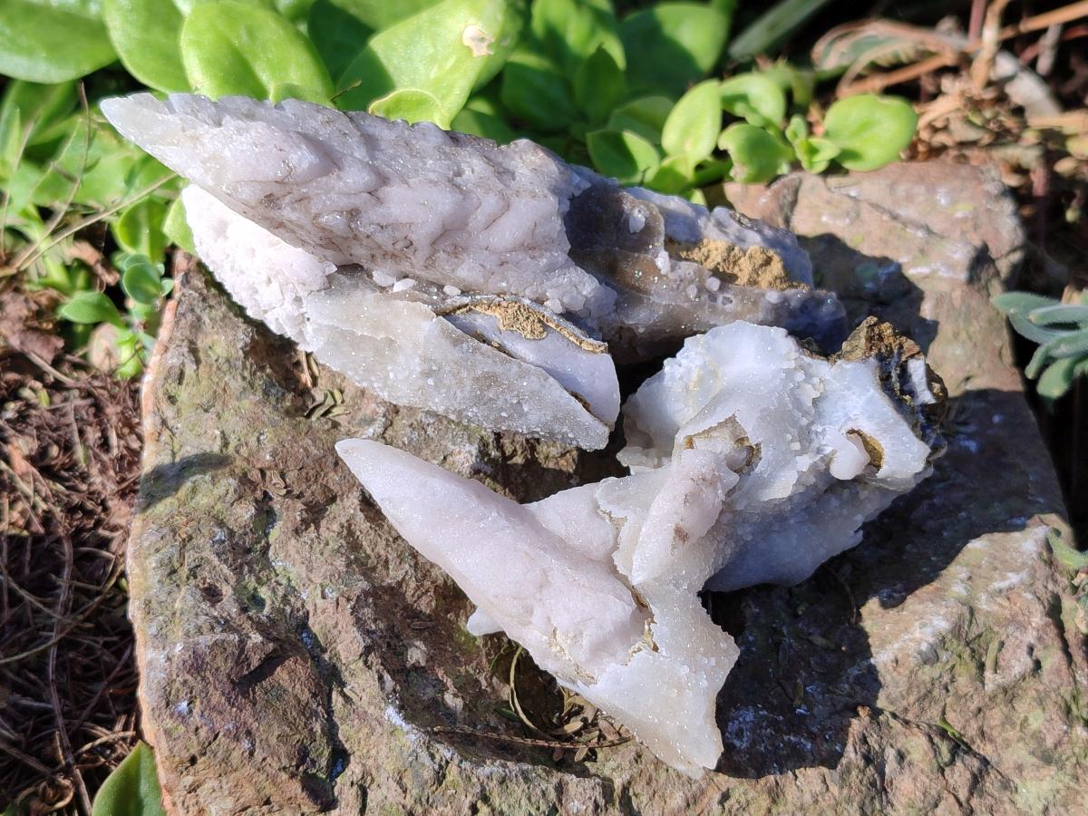 Natural Drusy Quartz Coated "Cock Spur" Calcite Crystals x 12 From Albert's Mountain, Lesotho