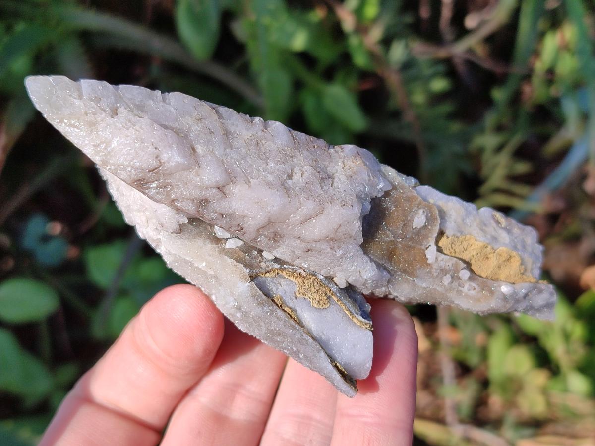 Natural Drusy Quartz Coated "Cock Spur" Calcite Crystals x 12 From Albert's Mountain, Lesotho
