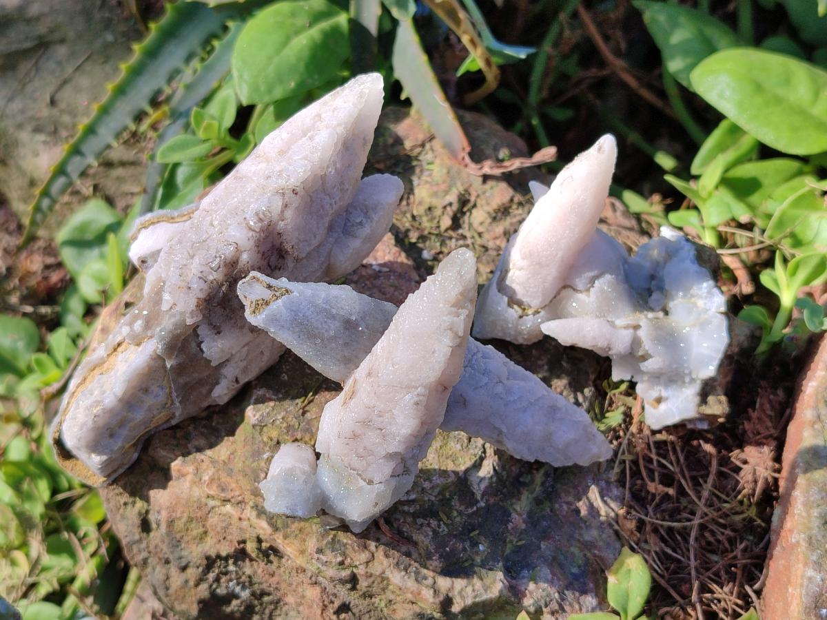 Natural Drusy Quartz Coated "Cock Spur" Calcite Crystals x 12 From Albert's Mountain, Lesotho