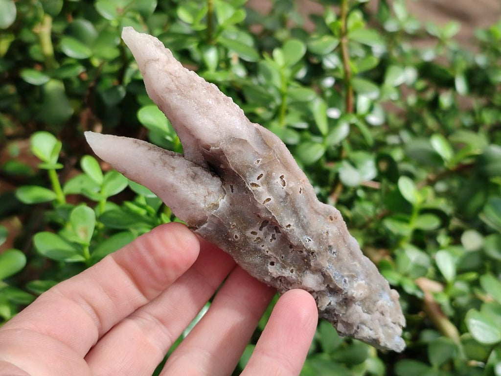 Natural Drusy Quartz Coated "Cock Spur" Calcite Crystals x 12 From Albert's Mountain, Lesotho