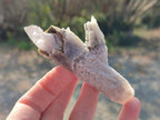 Natural Drusy Quartz Coated "Cock Spur" Calcite Crystals x 12 From Albert's Mountain, Lesotho