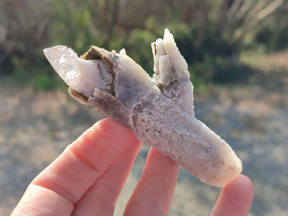Natural Drusy Quartz Coated "Cock Spur" Calcite Crystals x 12 From Albert's Mountain, Lesotho