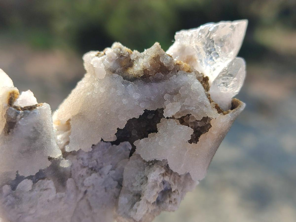 Natural Drusy Quartz Coated "Cock Spur" Calcite Crystals x 12 From Albert's Mountain, Lesotho
