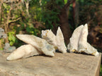 Natural Drusy Quartz Coated "Cock Spur" Calcite Crystals x 12 From Albert's Mountain, Lesotho
