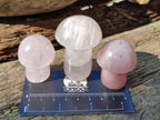 Polished Gemmy Rose Quartz Mushrooms x 24 From Madagascar