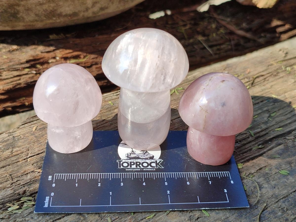 Polished Gemmy Rose Quartz Mushrooms x 24 From Madagascar