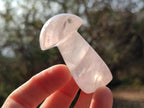 Polished Gemmy Rose Quartz Mushrooms x 24 From Madagascar