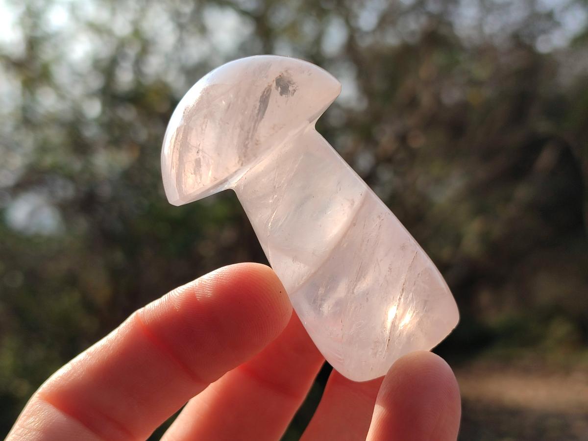 Polished Gemmy Rose Quartz Mushrooms x 24 From Madagascar