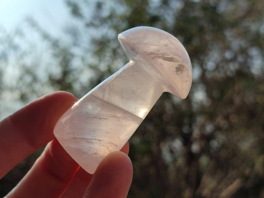 Polished Gemmy Rose Quartz Mushrooms x 24 From Madagascar