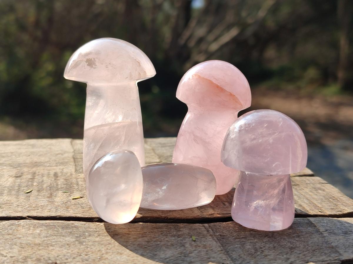 Polished Gemmy Rose Quartz Mushrooms x 24 From Madagascar