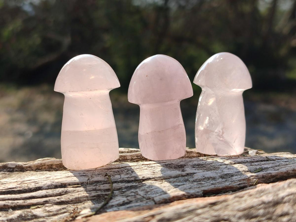 Polished Gemmy Rose Quartz Mushrooms x 24 From Madagascar