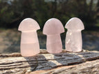 Polished Gemmy Rose Quartz Mushrooms x 24 From Madagascar