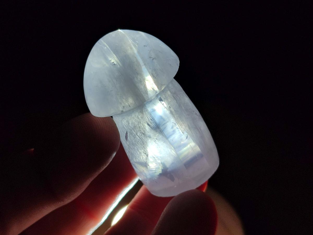 Polished Gemmy Rose Quartz Mushrooms x 24 From Madagascar