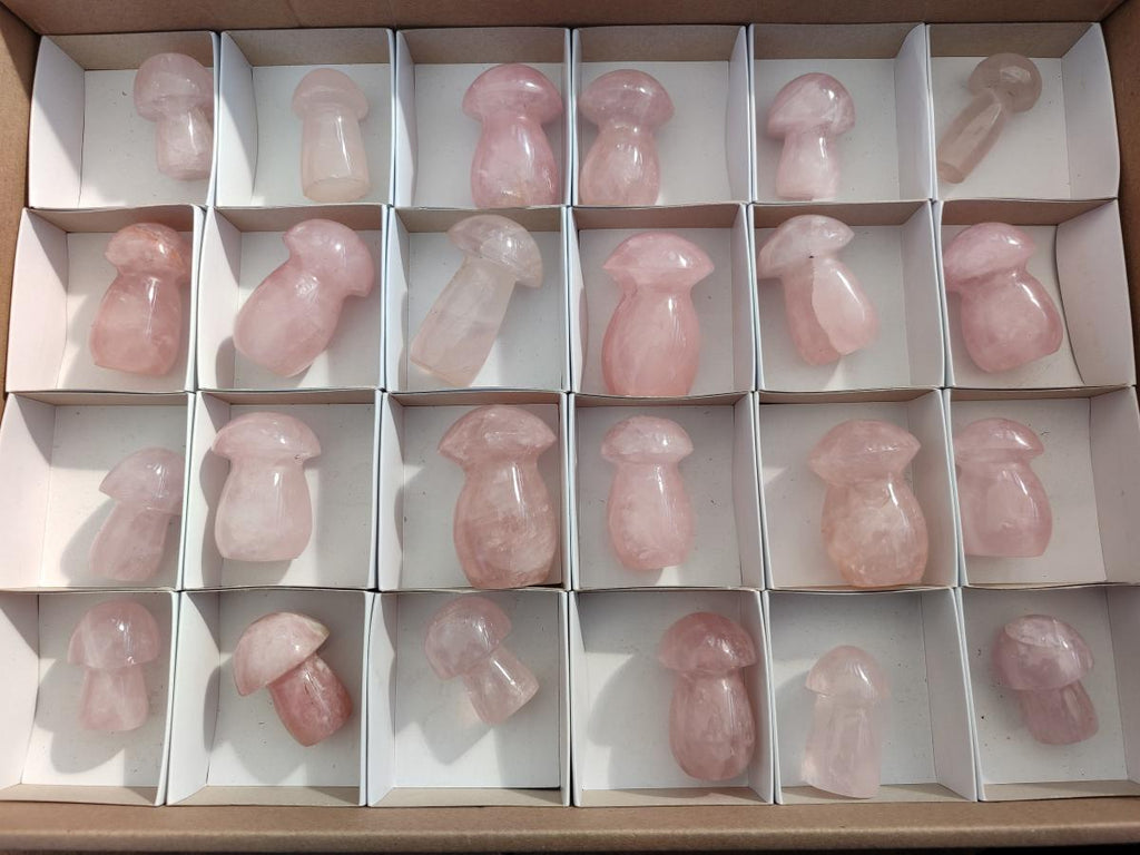 Polished Gemmy Rose Quartz Mushrooms x 24 From Madagascar